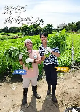 九九在线视频谈话综艺老友重聚局海报